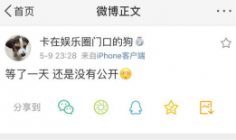 吃瓜爆料合集网盘,热门事件深度解析